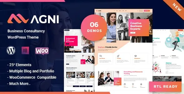 Agni - Consulting Business