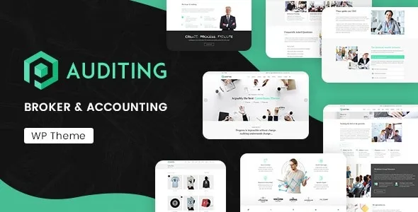 Auditing - Accounting Consultant