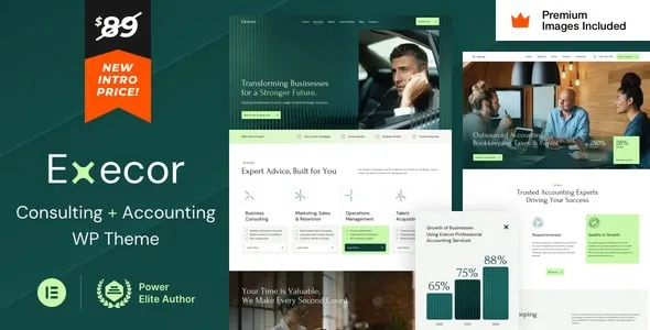 Execor- Accounting and Management Consulting WordPress Theme
