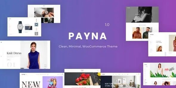 Payna Clean