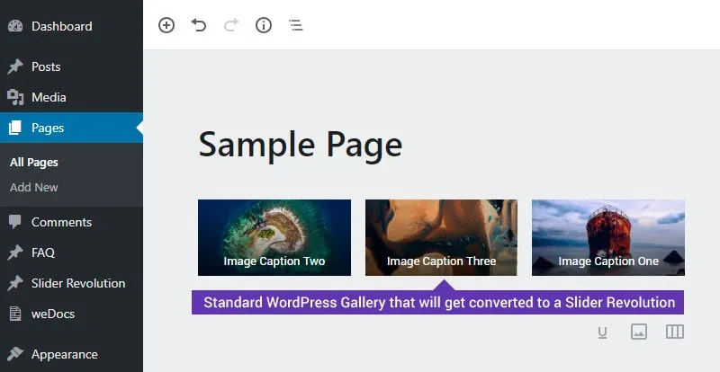 Slider Revolution Gallery Add-On|Slider Revolution Gallery Add-On